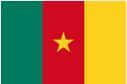 Drapeau_Cameroun